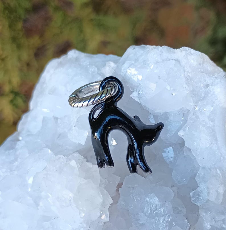 May include: A black cat charm with a silver-colored twisted ring. The cat is glossy and has a curved back and tail. The charm is set against a white, crystalline background.