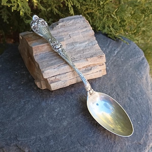 May include: A silver spoon with ornate floral detailing on the handle and bowl. The spoon is resting on a piece of wood, with a natural background. The spoon's design is vintage and elegant.