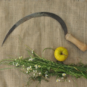 Antique sickle Blade rust patina Primitive sickle Hand forged sickle Primitive scythe Wooden handle sickle gift for Valentines day