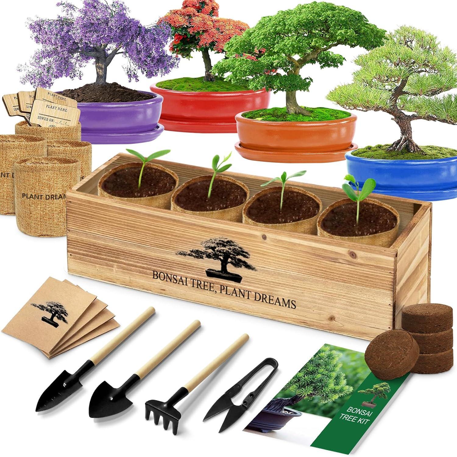 Complete Bonsai Tree Kit - 90 Seeds, Tools, Gift Box (Indoor Gardening)