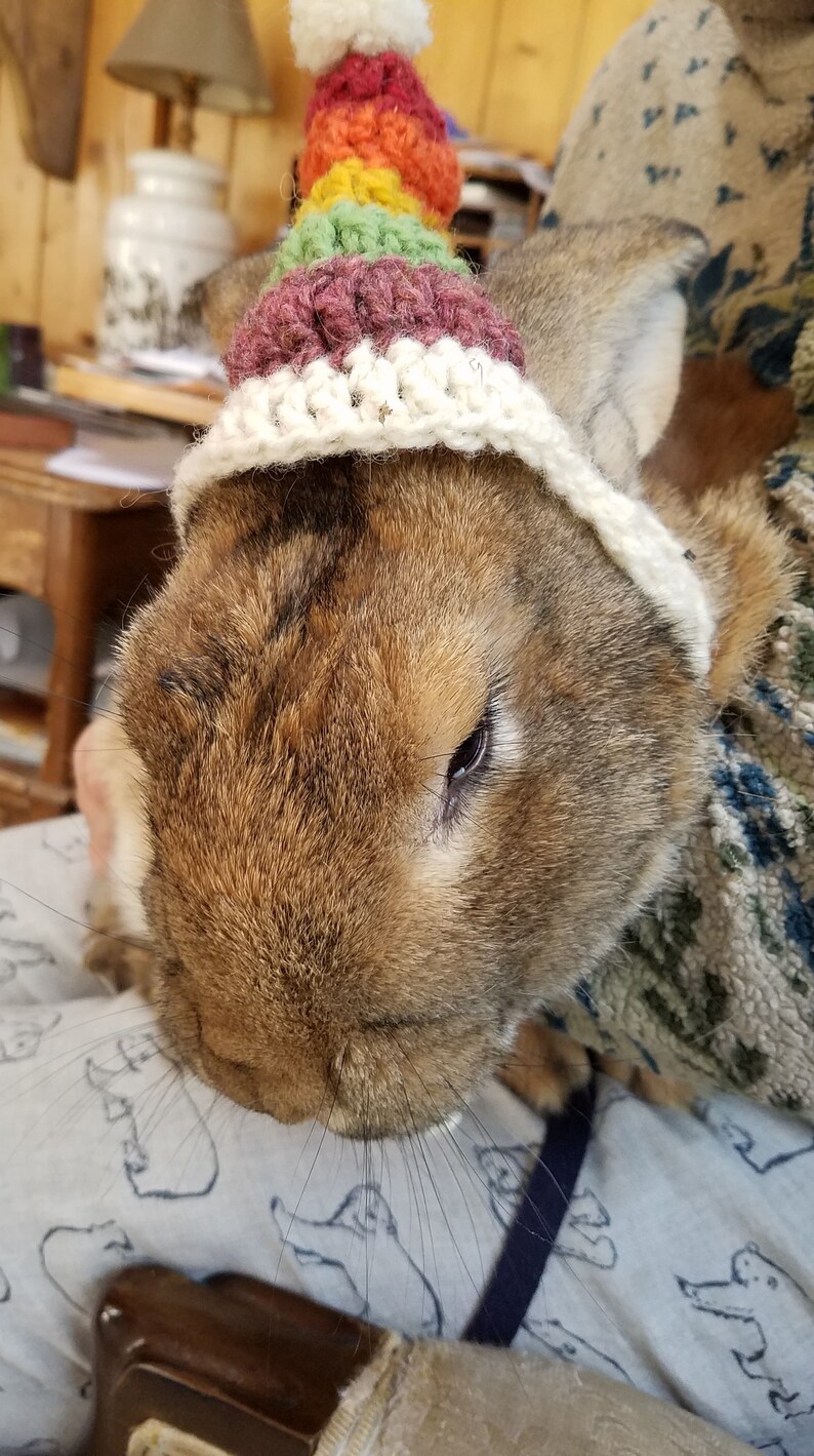 Handmade Crocheted Wool Rainbow Striped Hat for Binkies Bunny rabbits