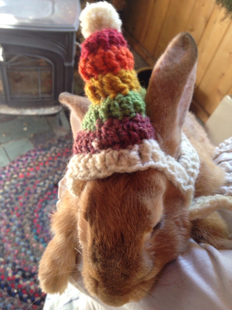 Handmade Crocheted Wool Rainbow Striped Hat for Binkies Bunny rabbits