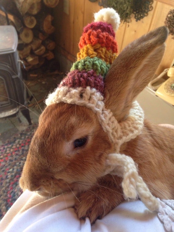 Handmade Crocheted Wool Rainbow Striped Hat for Binkies Bunny rabbits