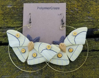May include: A pair of gold hoop earrings with a yellow and white butterfly charm on each hoop. The butterflies have a delicate, almost translucent appearance. The earrings are labeled "PolymerCraze".