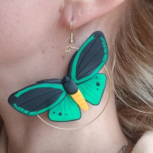 Polymer clay birdwing butterfly hoop statement earrings, birdwing butterfly earrings, green birdwing earrings, statement hoop earrings