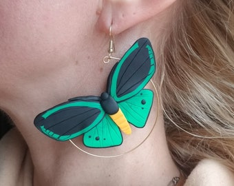 Polymer clay birdwing butterfly hoop statement earrings, birdwing butterfly earrings, green birdwing earrings, statement hoop earrings