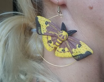 May include: A pair of hoop earrings with a yellow and brown moth charm. The moth has black markings and a textured surface.