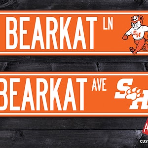 Custom Bearkat Street Road Sign METAL Sign 6&quot;x24&quot; Personalize it with your name, or Text SHSU - Sam Houston State University