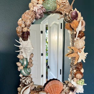 May include: Oval mirror framed with a variety of seashells in shades of brown, white, orange, and green. The mirror is mounted on a dark teal wall, creating a coastal or nautical theme. The frame includes starfish.