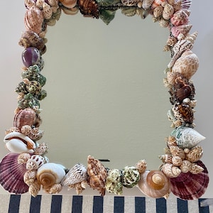 May include: A rectangular mirror with a frame densely decorated with various seashells in shades of brown, white, purple, and green. The shells are clustered together, creating a textured border around the reflective surface.