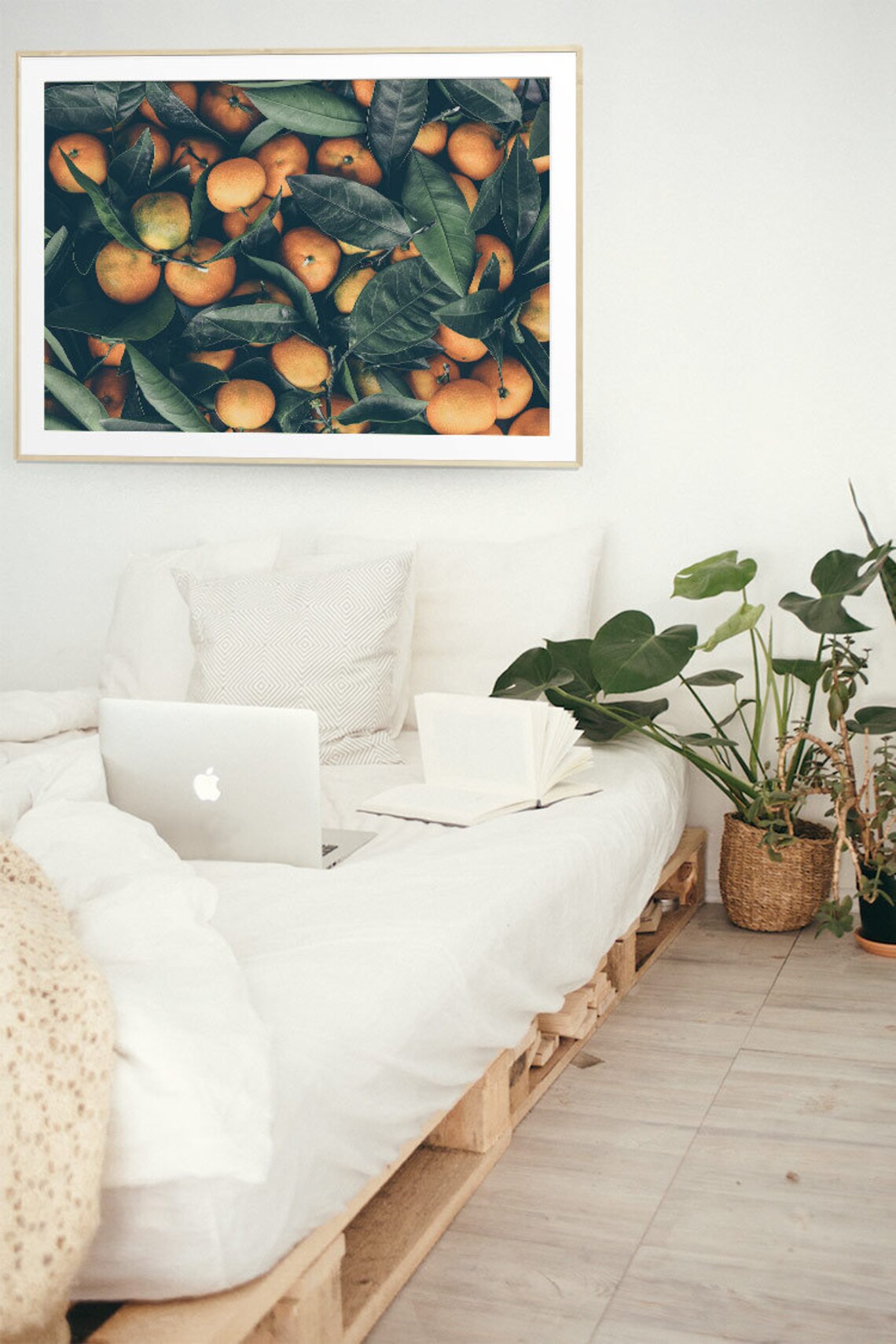 Orange Fruit Wall Art Tropical Fruit Photography Citrus Etsy