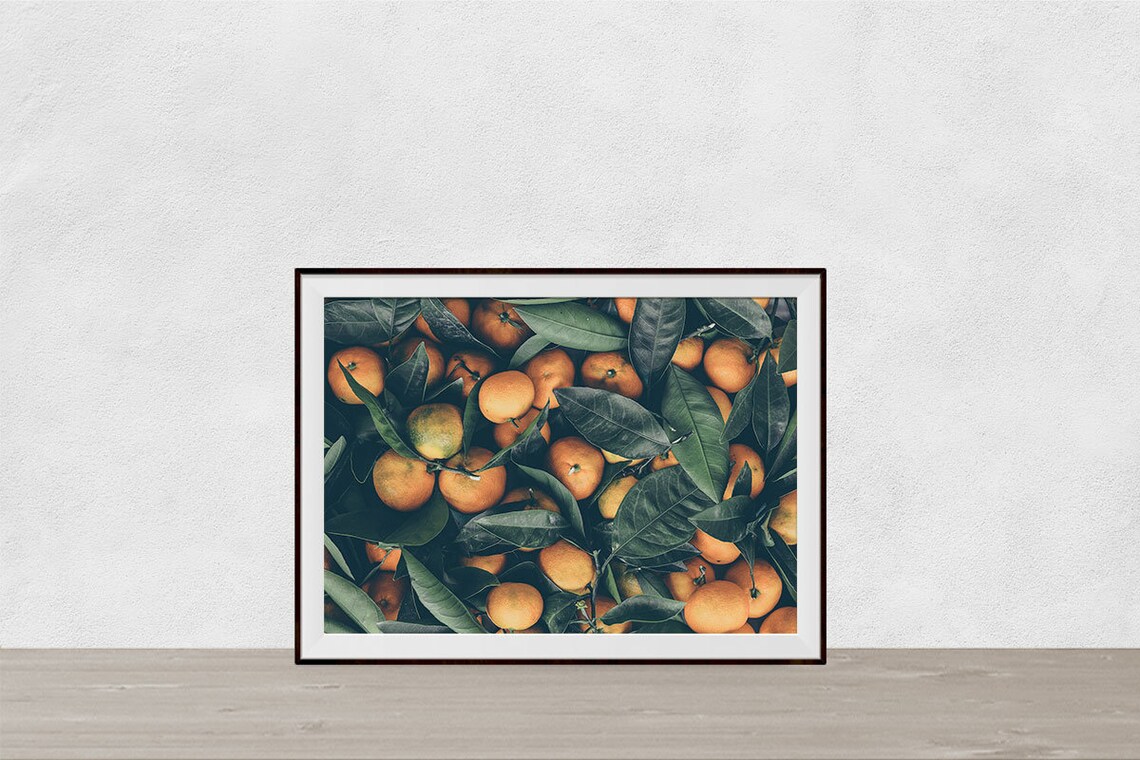 Orange Fruit Wall Art Tropical Fruit Photography Citrus Etsy