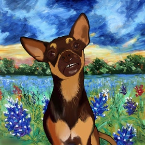 CUSTOM Digital drawings made by myself on my tablet, animals, self portraits, cartoons.