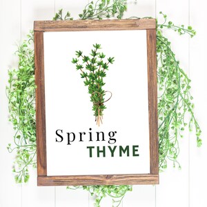 May include: A framed sign with a white background and a green illustration of a bunch of thyme. The text "Spring THYME" is written in black and green letters.