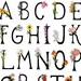 Botanical Letter Alphabet Print Flower Art ABC Print - Etsy