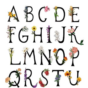 Botanical Letter Alphabet Print Flower Art ABC Print - Etsy