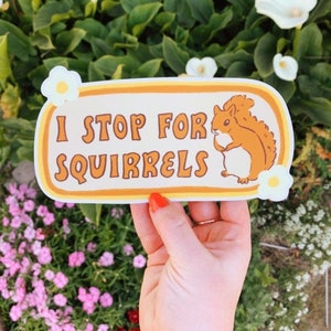 I Stop For Squirrels Bumper Sticker | Squirrel Sticker | Stickers for Car | Bumper Stickers | Waterproof Stickers | Stickers