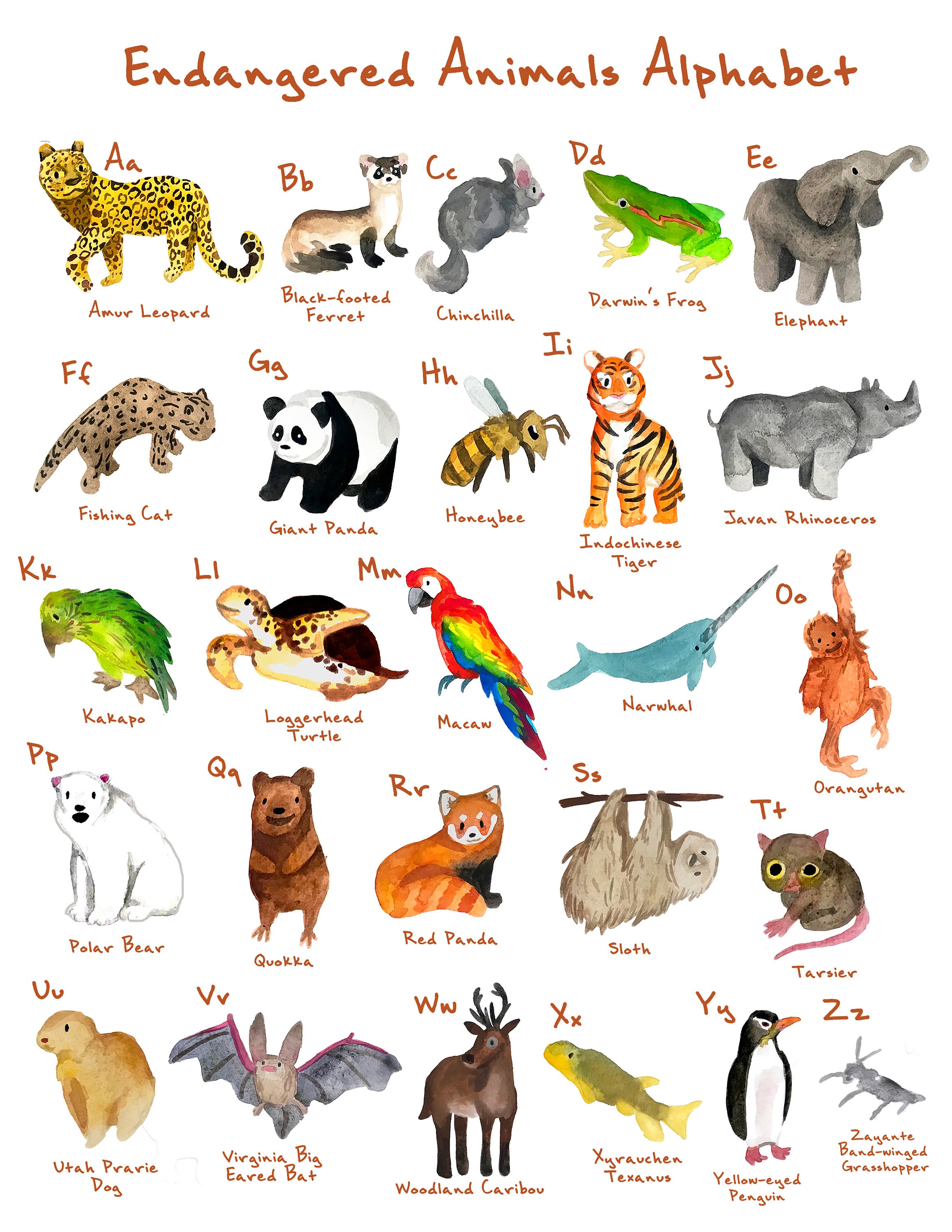 ABCs De Animales En Peligro De Extinci n Etsy abcs-de-animales-en-peligro-de-extinci-n-etsy