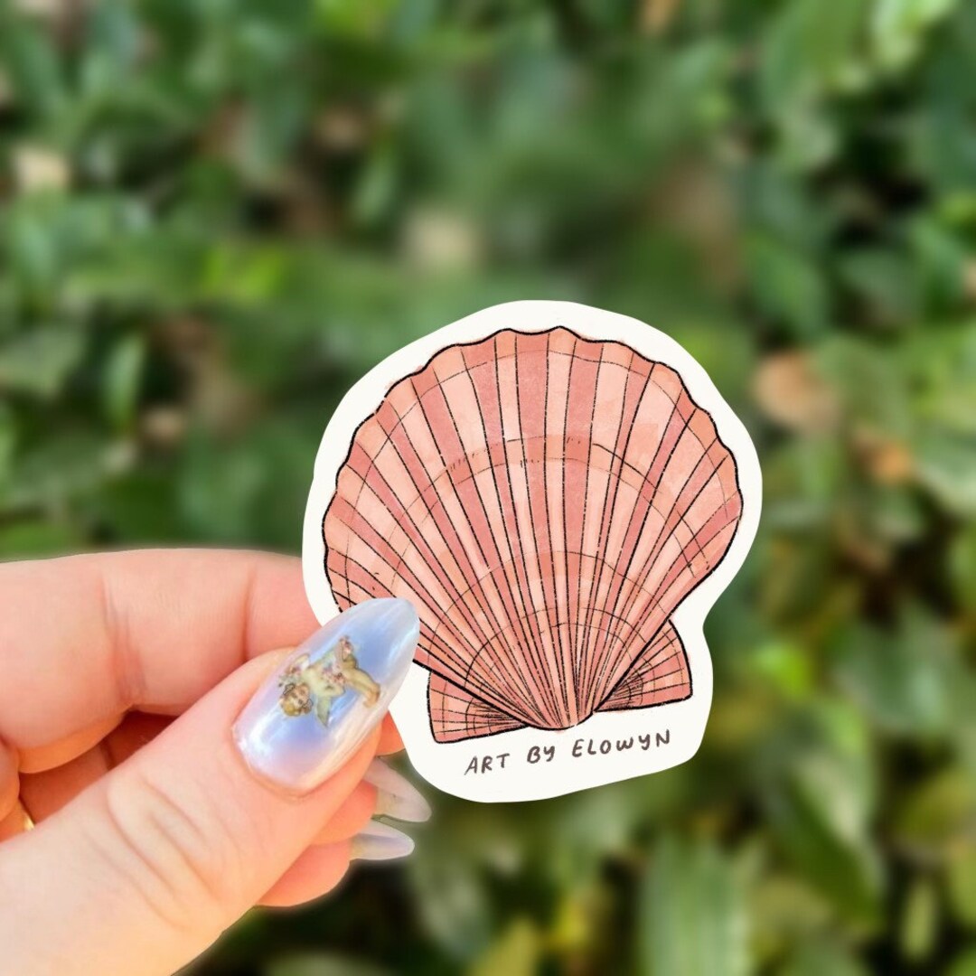 Seashell Sticker Ocean Sticker Sticker Waterproof Sticker Stickers for Hydroflask Etsy
