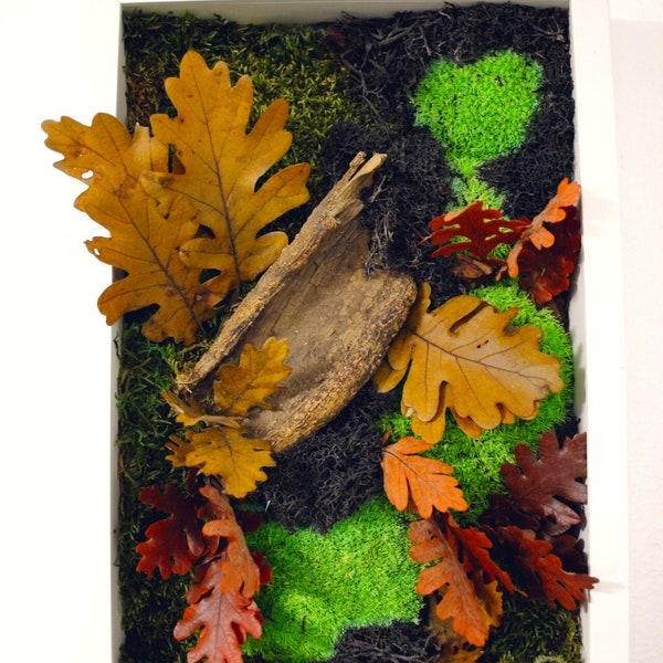 Cadre végétal stabilisé, tableau végétal, automne, forêt, feuilles, bois, mousse, cadeau