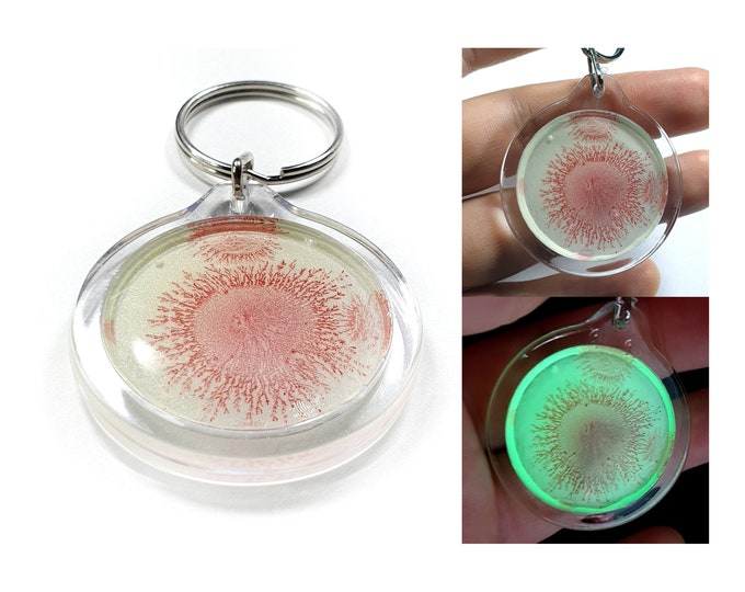 Glass Painting Keychain Red glow in the dark by Maria Marachowska