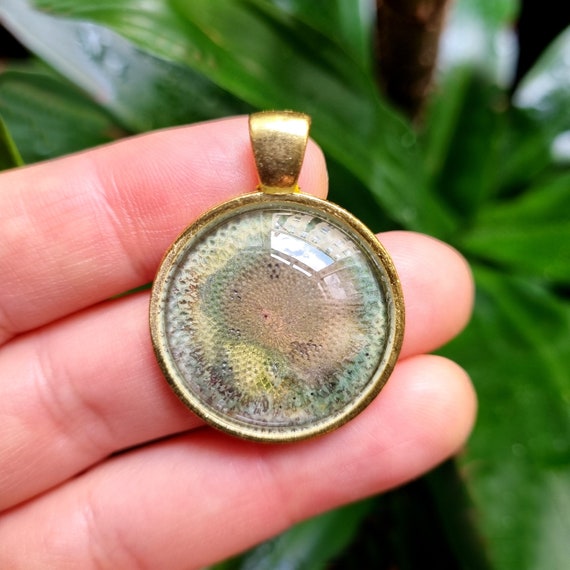 Glowing Yellow Pendant by Maria Marachowska