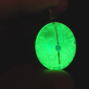 Einzigartiger Leuchtender Vintage-Pendant von Maria Marachowska – Handgemalte Glaskunst für Unisex-Liebhaber