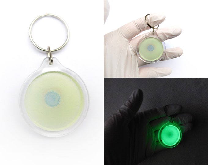 Keychain Glowing Accessories