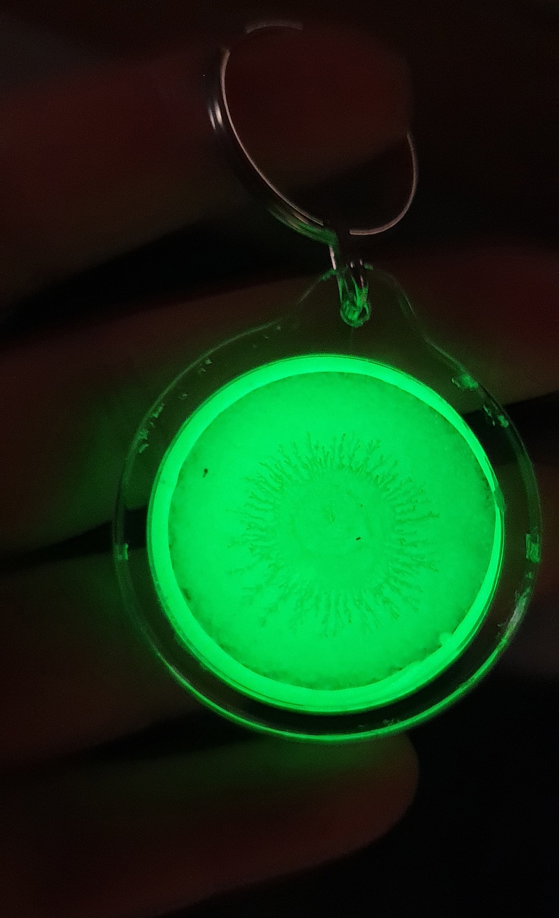 Glow In The Dark Keychain Handmade Keychain Original Etsy