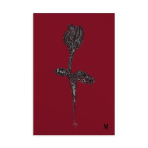 Postal de la rosa negra