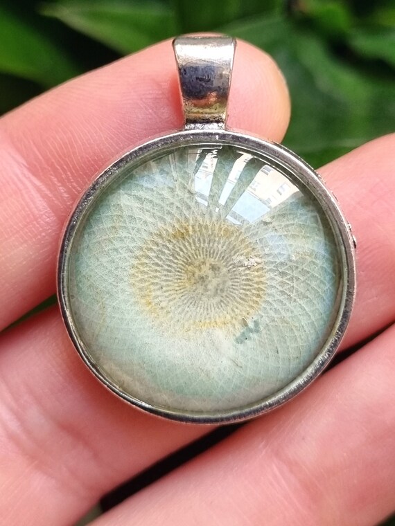Maria Marachowska Handmade Unique Pendant glows in the dark