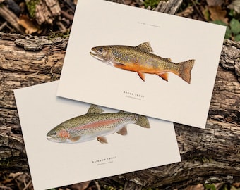 Rainbow Trout & Brook Trout Art Prints (Set of 2)