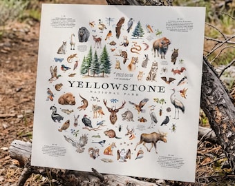 Yellowstone Wildlife Art Print, National Park Field Guide, Nature Wall Art