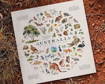 Australia Wildlife Art Print, Australian Animal Field Guide, Nature Wall Art