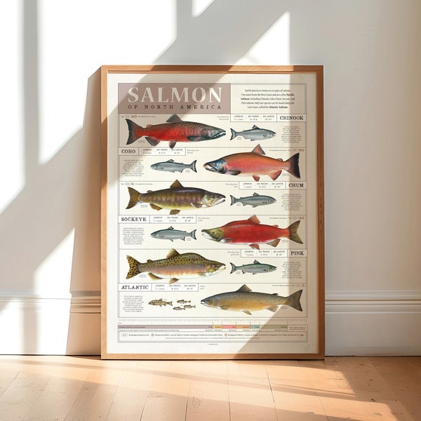 Salmon Fish Print, Fishing Poster Gift for Fisherman, Fish Wall Art, Pacific Northwest Art for Cabin Wall Décor