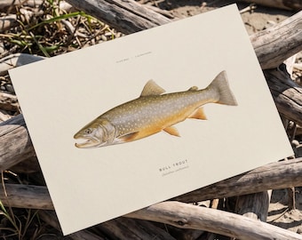 Bull Trout Art Print, Bull Trout Fish Poster, Fly Fishing Wall Art, Pacific Northwest Fishing Gift, Angler Gift