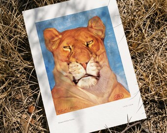 Lioness Art Print: African Wildlife Portrait
