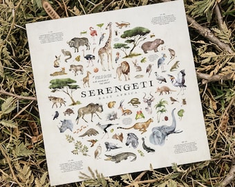 Serengeti Animals Art Print, African Wildlife Field Guide, Safari Wall Art