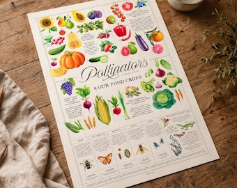 Pollinators Art Print: Fruit, Vegetable & Garden Illustration