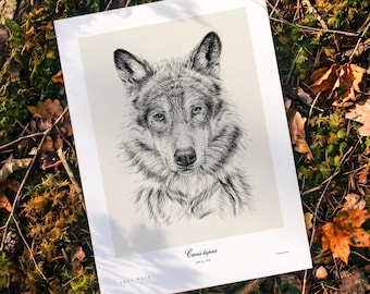 Wolf Art Print, North American Wildlife Illustration, Minimal Animal Wall Art