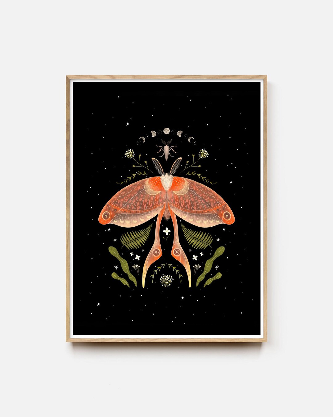 Nocturnal Moon Moth Art Print - Etsy