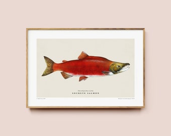 Sockeye Salmon Fish Wall Art for Cabin Decor or Lakehouse, Fishing Poster Gift for Fisherman or Animal Lover