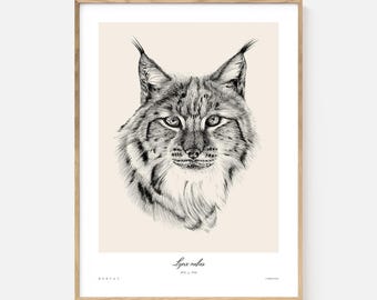Bobcat Art Print