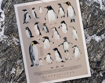 Penguins of the World Art Print, Penguin Species Poster, Bird Lover Gift