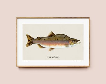 Pink Salmon Fish Print for Fishing Cabin Wall Decor or Lakehouse Art, Fish Species Poster Gift for Fisherman or Animal Lover