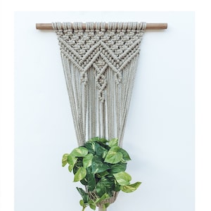 May include: A beige macrame plant hanger, featuring a wooden dowel and intricate woven patterns. It holds a potted plant with green and yellow foliage. The plant hanger is suspended against a white wall, adding a touch of bohemian style.