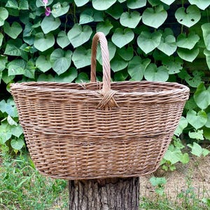 Cesta grande de mimbre vintage con asa - Cesta ovalada para la cosecha de 63 x 43 cm - Ideal para almacenamiento o decoración rústica de granja