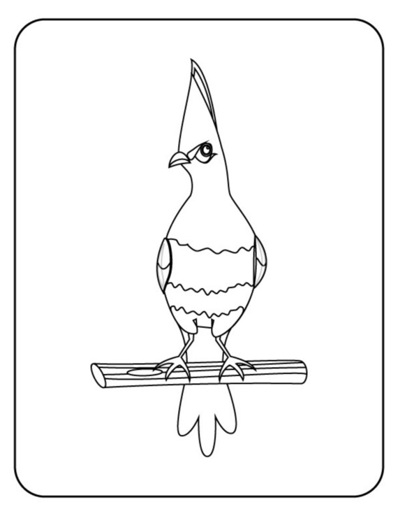 Bird Coloring Pages For Kids Printable