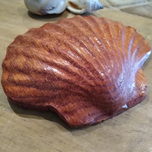 Wood Sea Shell