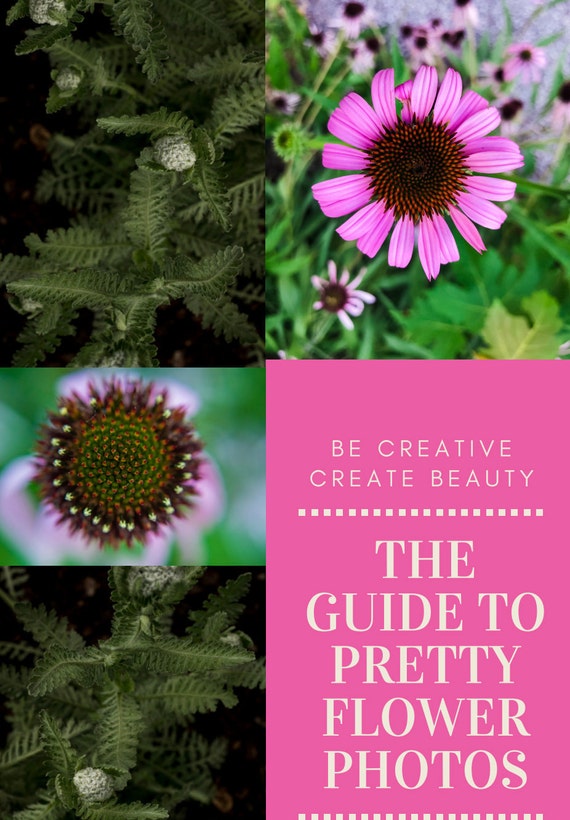 Flower Photography Tutorial! Creative, Creativity, PDF, Photography Tutorial, Photographer, Nature Photography, Flowers, How to, Gardening